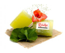 Tea Tree Fenil for Guru Tea Tree Fenil for Guru